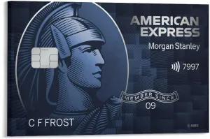 American Express Card Poster Home Living Room Vintage Wall Art (3) Canvas Painting Posters And Prints Wall Art for Living Room Bedroom Decor 24x16inch(60x40cm) Frame-style