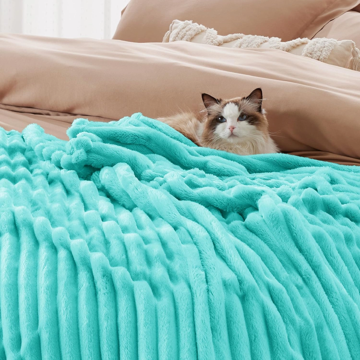 Bedsure Blue Queen Blanket for Bed - GentleSoft Cozy Soft Blankets for Women, Cute Small Fleece Throws for Girls, Birthday Gifts for Women, Mothers Day Decor Gifts for Mom, Blue Fog, 90x90 Inches