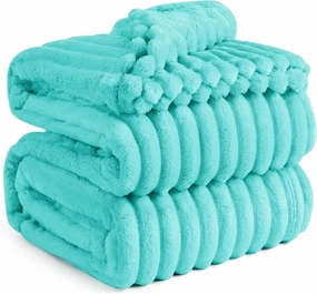 Bedsure Blue Queen Blanket for Bed - GentleSoft Cozy Soft Blankets for Women, Cute Small Fleece Throws for Girls, Birthday Gifts for Women, Mothers Day Decor Gifts for Mom, Blue Fog, 90x90 Inches