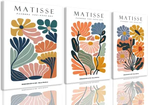 BingruiArt Boho Flower Wall Art Henri Matisse Canvas Abstract Poster Pictures Colorful Set of 3 Minimalist Plant Leaves Painting Prints Decor Aesthetic for Living Room Bedroom Dorm 12"x16" Framed