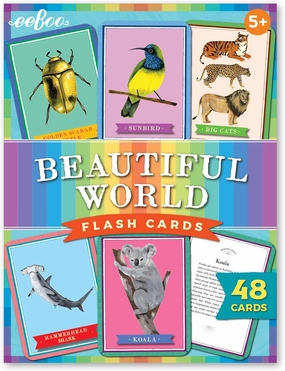 eeBoo: Beautiful World Educational Flash Cards, Colorful Animal Graphic and The Reverse Side Provides Information, Perfect Way to Learn Information on Animals, for Ages 5 and up