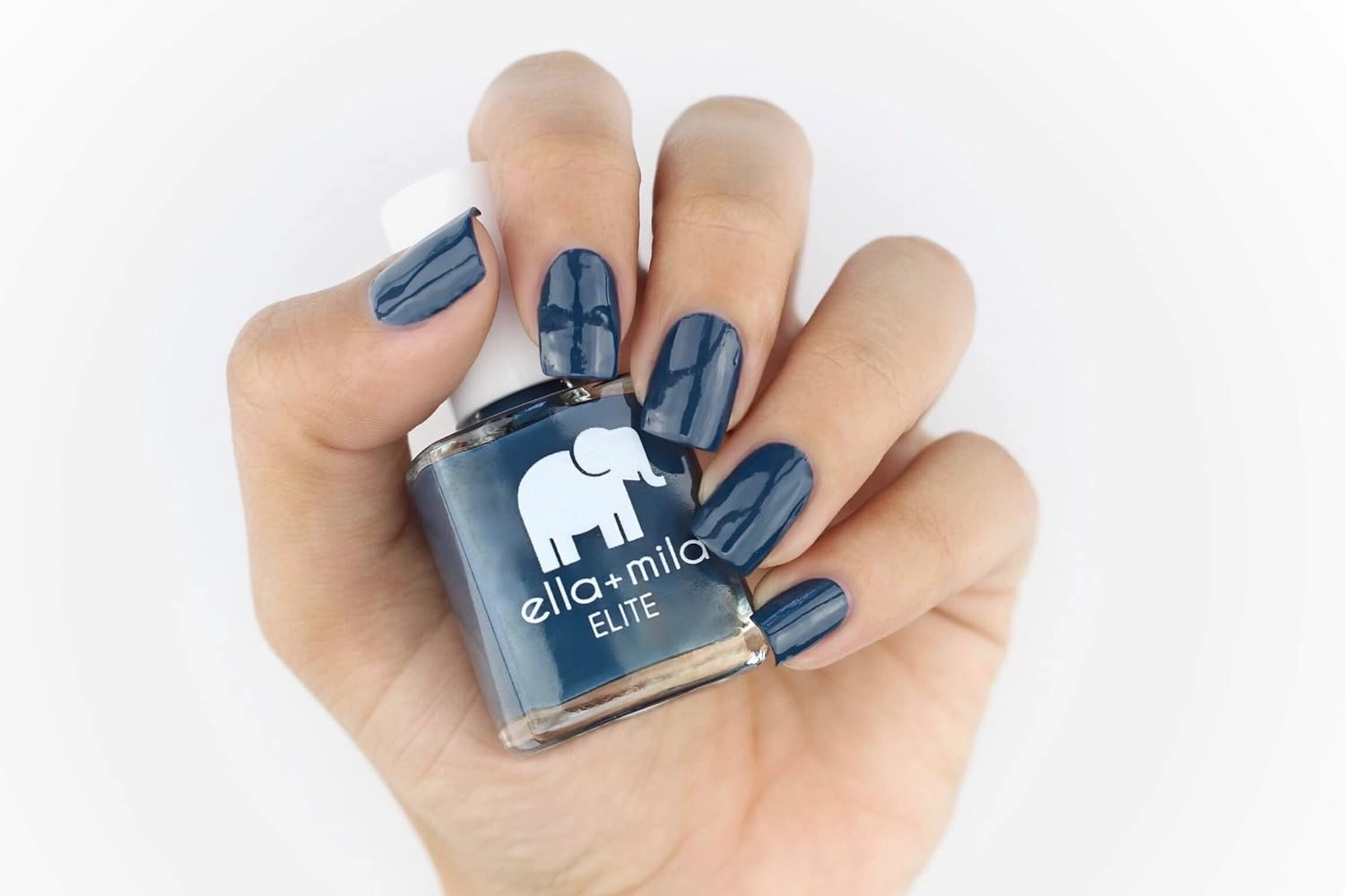 ella mila Professional Nail Polish Set - Quick Dry Nail Polish - Long-Lasting & Chip Resistant Nail Polish Kit (Elite Collection B - 10 Pack - 0.45 fl oz each)