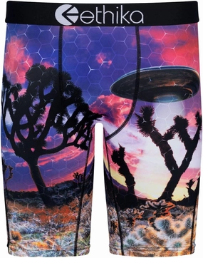 Ethika Mens Staple Boxer Brief | Field Trip