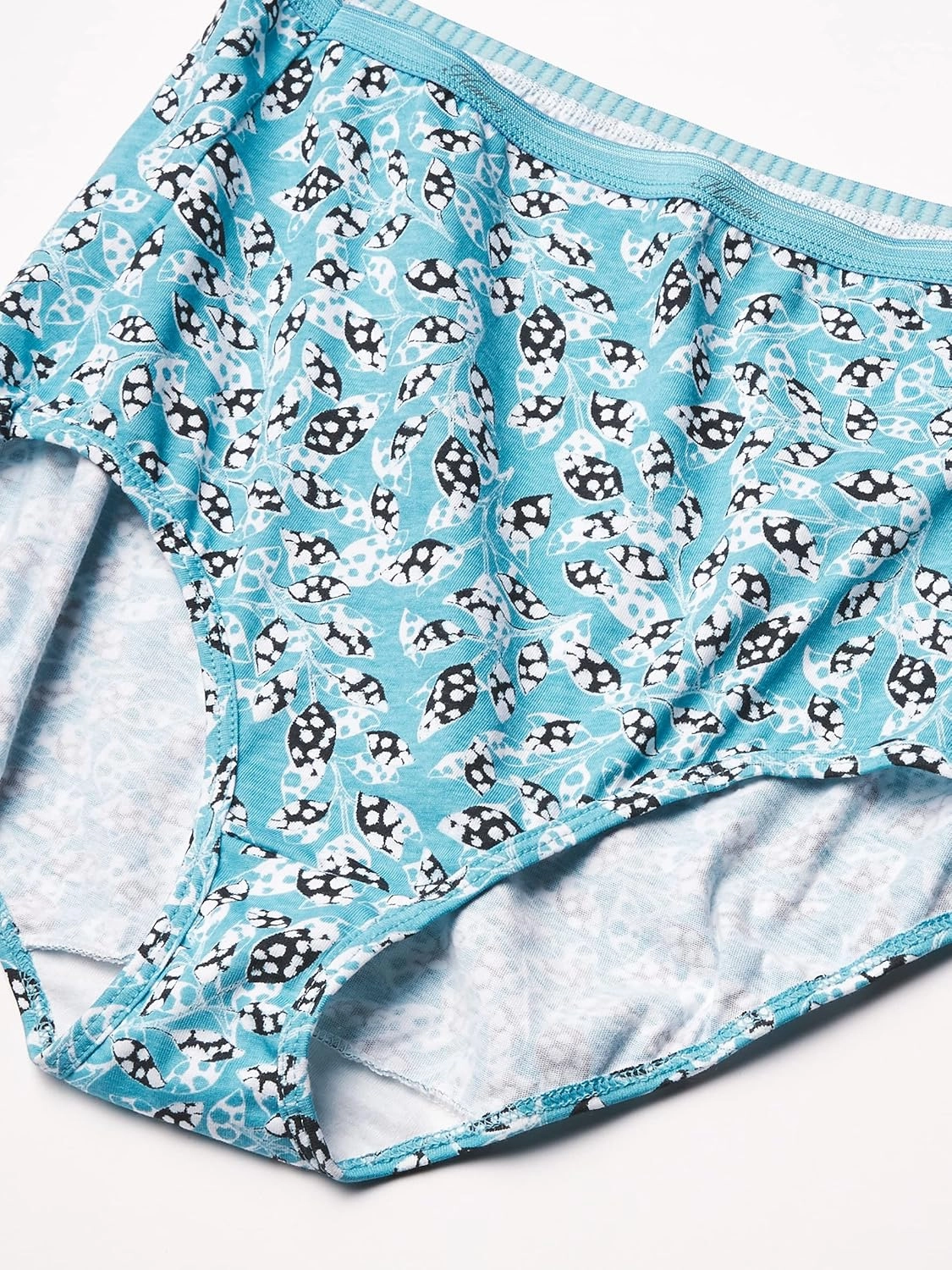 Hanes Women's Brief Underwear Pack, High-Waisted Cotton Brief Panties, 10-Pack (Colors May Vary)