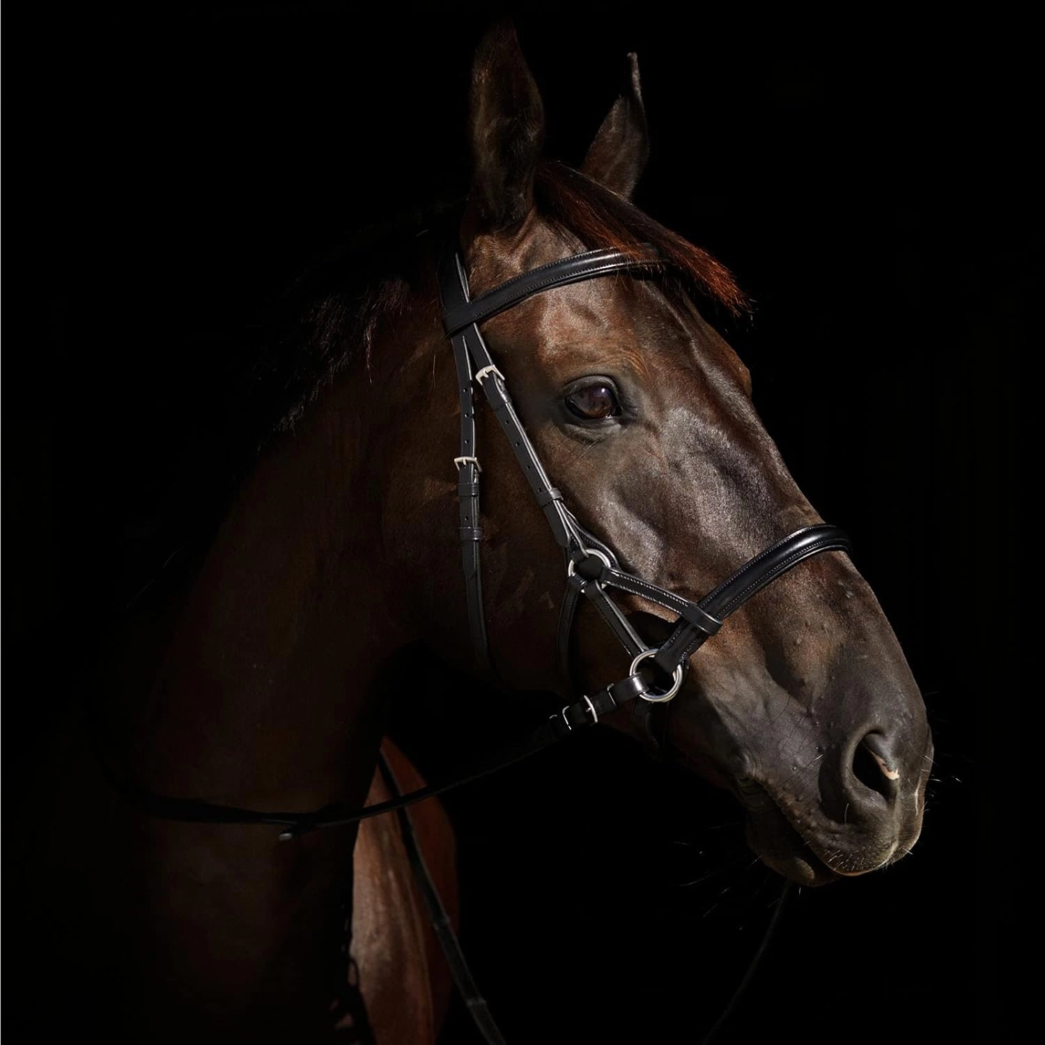 HORZE Denver Soft Leather English Side Pull Bitless Bridle for Horses | Web Reins Included