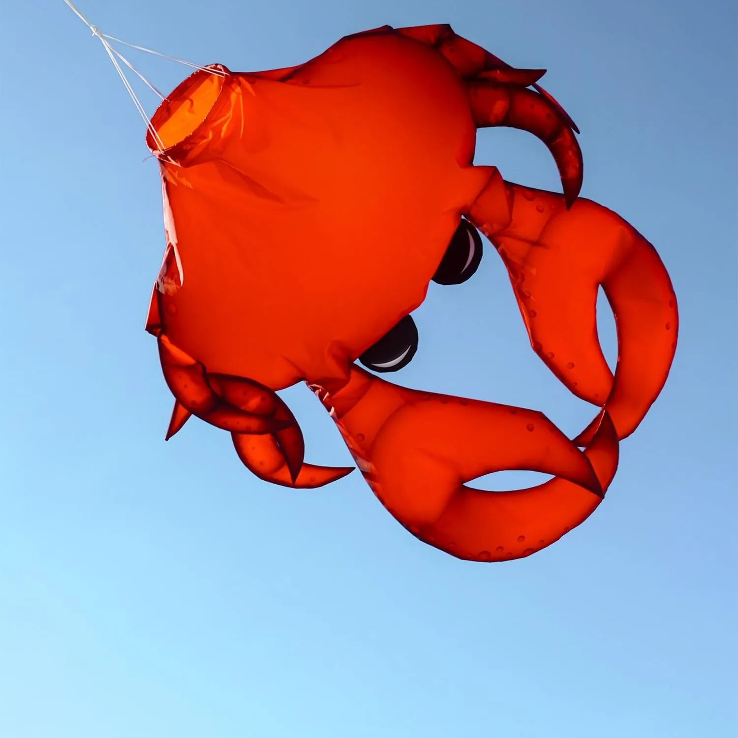 In the Breeze 5248 — 40-inch Realistic Crab 3D Windsock — Realistic Sea Life Windsock for Homes, Gardens, Restaurants