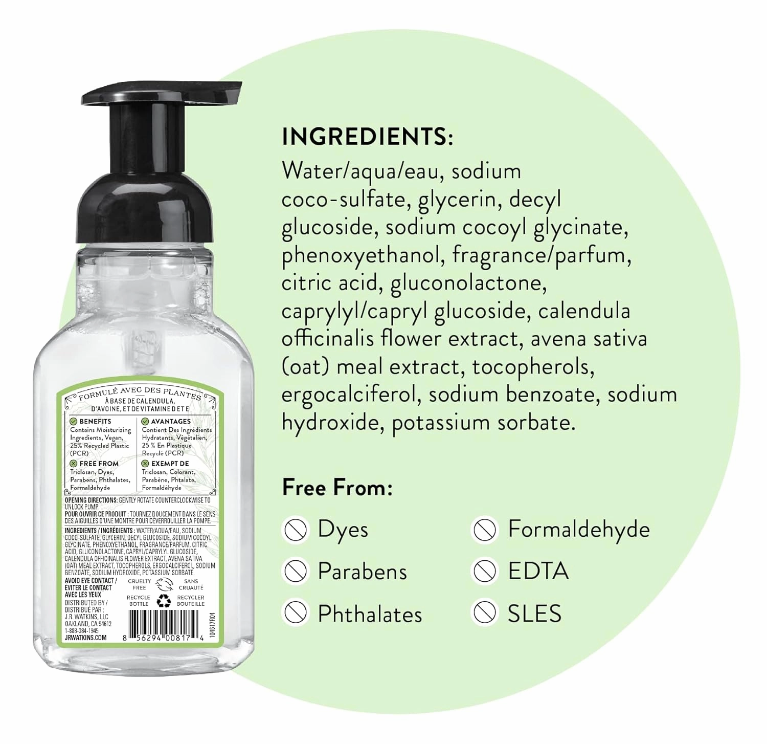 J.R. Watkins Foaming Hand Soap Pump with Dispenser, Moisturizing All Natural Hand Soap Foam, Alcohol-Free, Cruelty-Free, USA Made, Use as Kitchen or Bathroom Soap, Aloe & Green Tea, 9 fl oz, 6 Pack