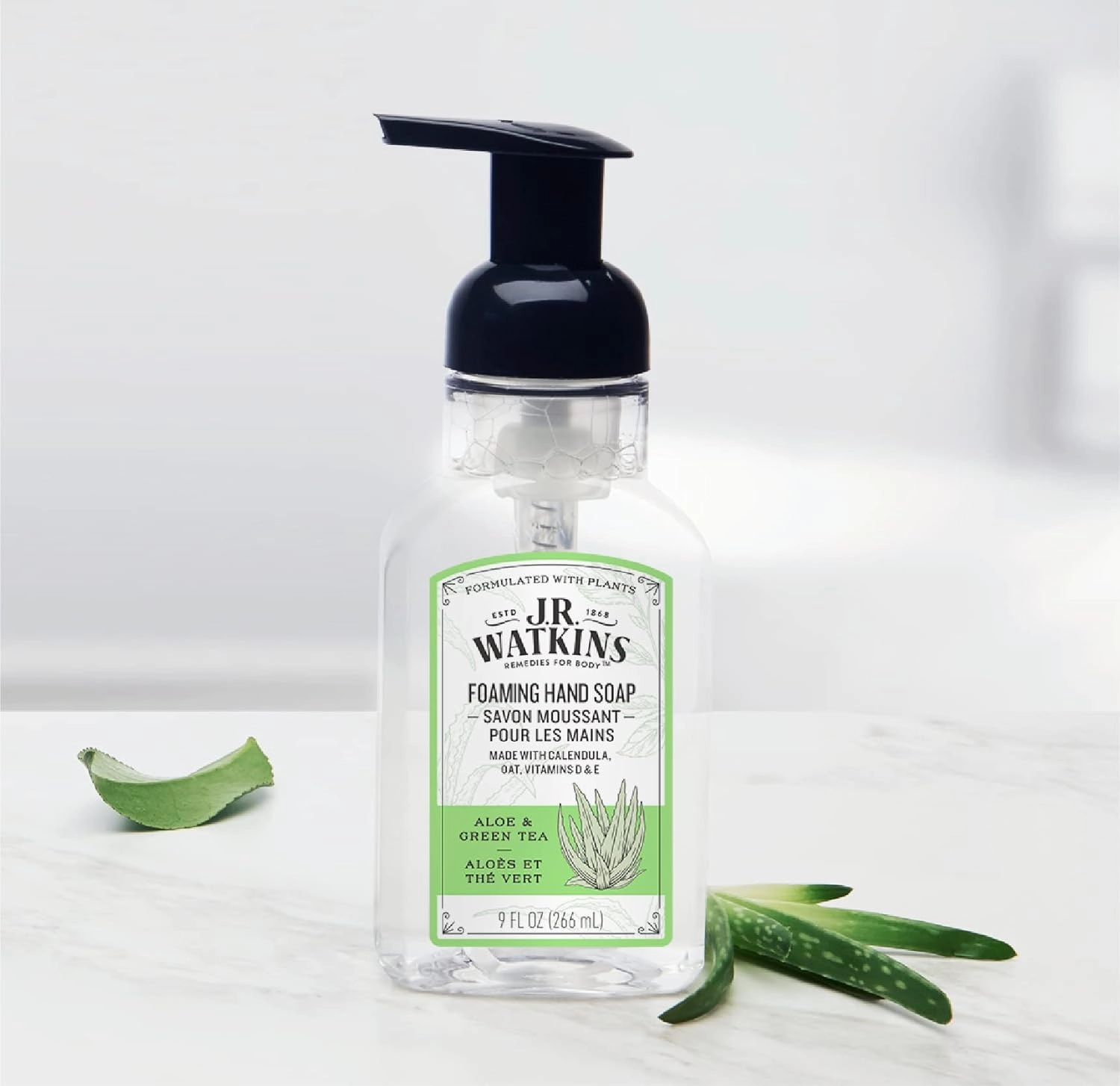 J.R. Watkins Foaming Hand Soap Pump with Dispenser, Moisturizing All Natural Hand Soap Foam, Alcohol-Free, Cruelty-Free, USA Made, Use as Kitchen or Bathroom Soap, Aloe & Green Tea, 9 fl oz, 6 Pack