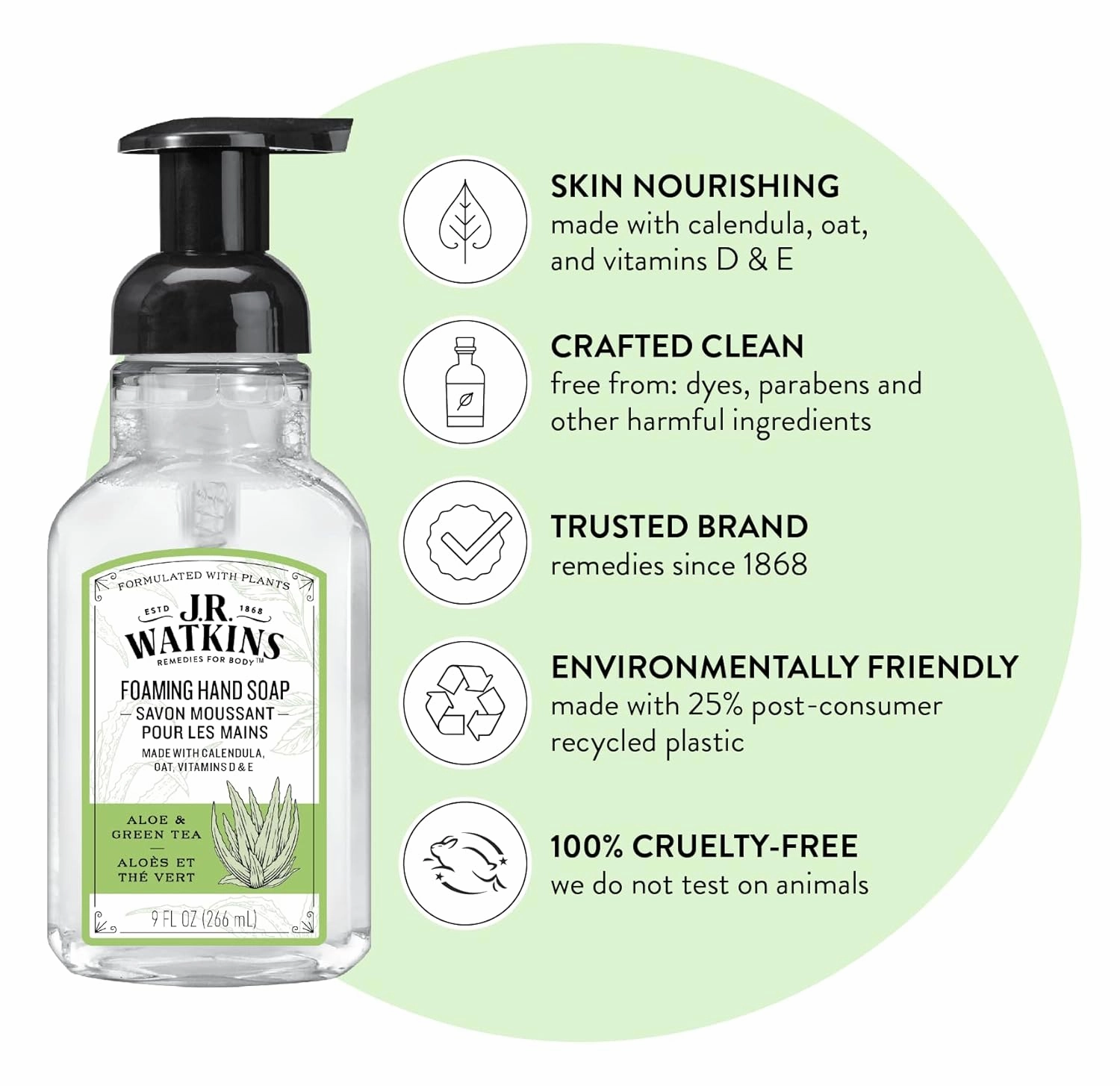 J.R. Watkins Foaming Hand Soap Pump with Dispenser, Moisturizing All Natural Hand Soap Foam, Alcohol-Free, Cruelty-Free, USA Made, Use as Kitchen or Bathroom Soap, Aloe & Green Tea, 9 fl oz, 6 Pack