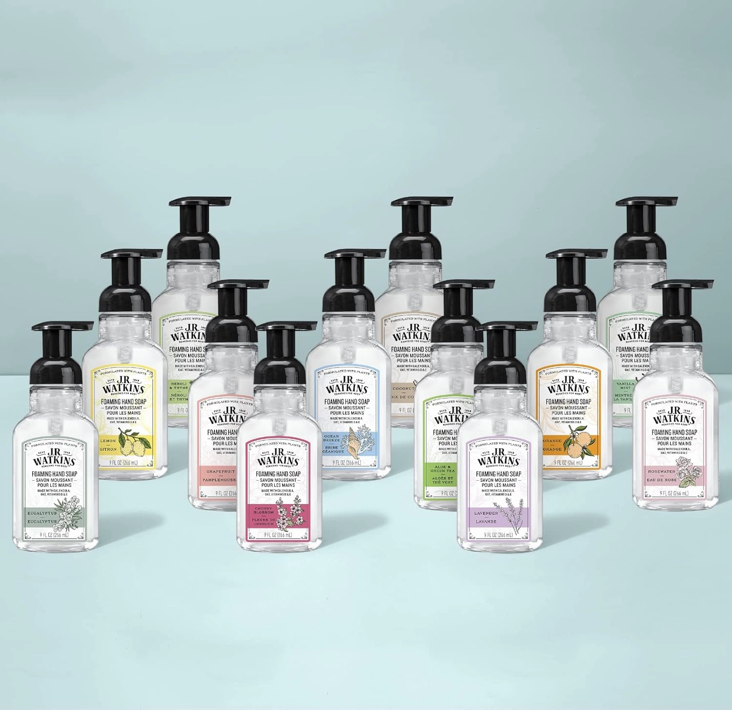 J.R. Watkins Foaming Hand Soap Pump with Dispenser, Moisturizing All Natural Hand Soap Foam, Alcohol-Free, Cruelty-Free, USA Made, Use as Kitchen or Bathroom Soap, Aloe & Green Tea, 9 fl oz, 6 Pack