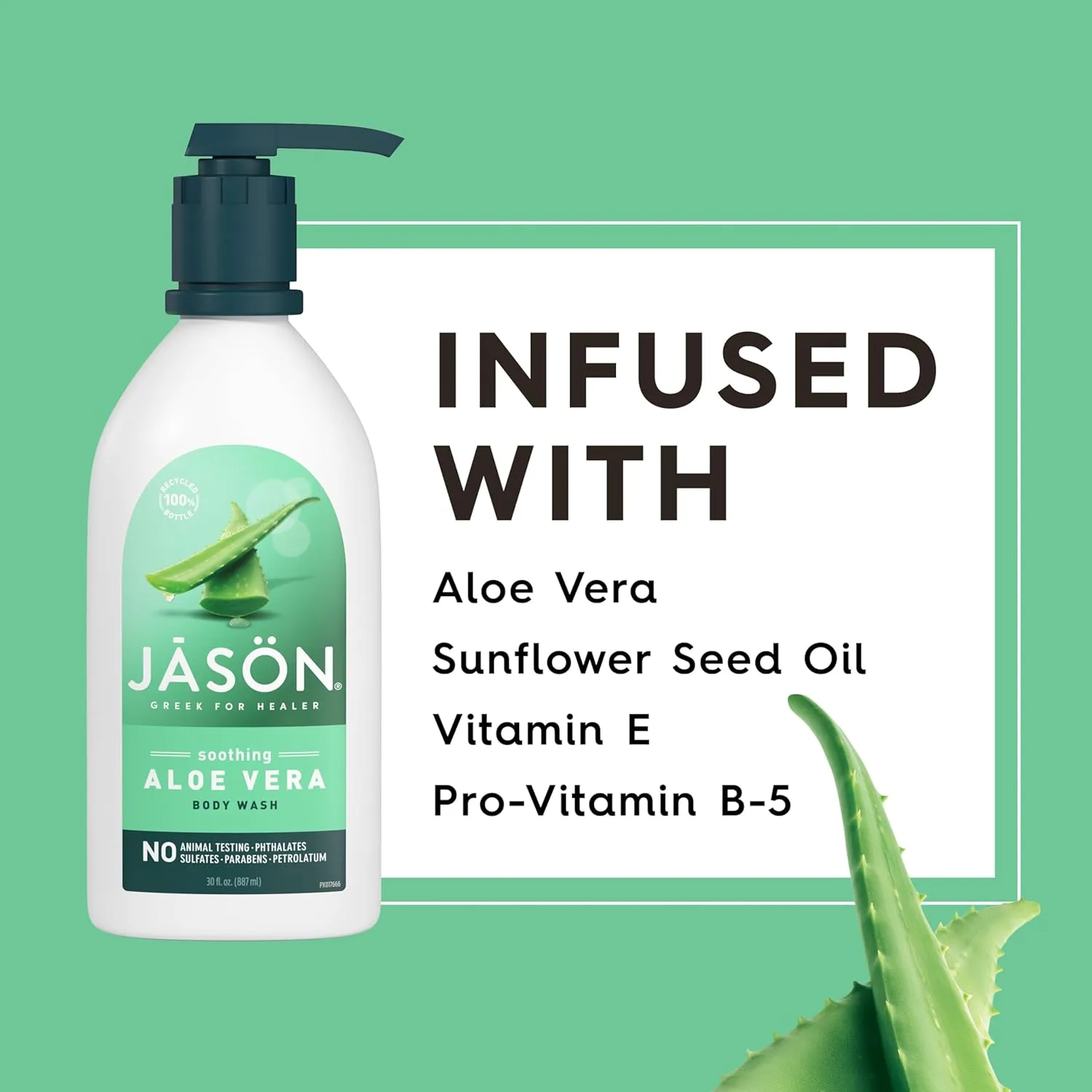 JASON Aloe Vera Shower Gel Body Wash - Soothing, Gentle Clean Feeling, 30 Fluid Ounces