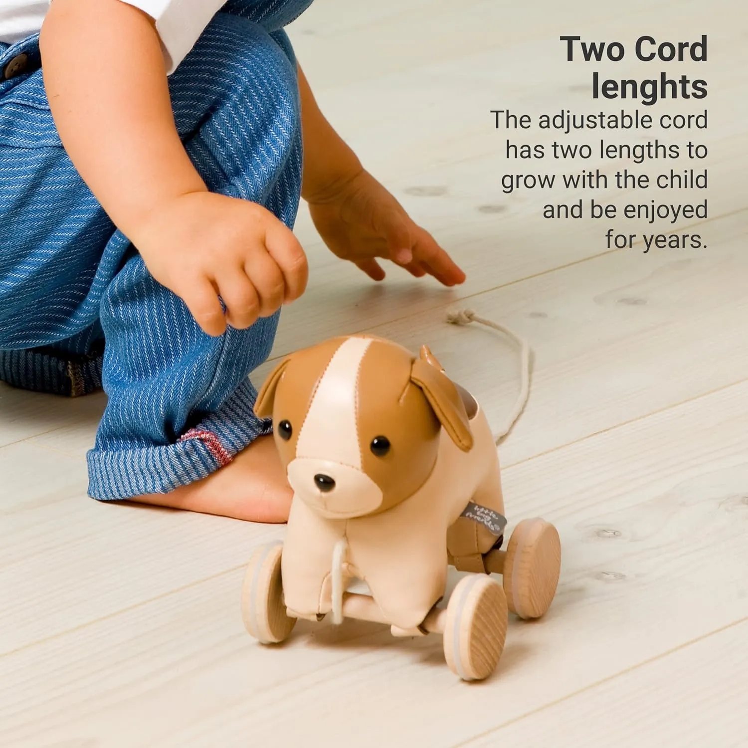 Little Big Friends Pull Along Friends | Pull Along Toy for Baby | Traditional Toys | Easy to Clean | Adrien The Dog