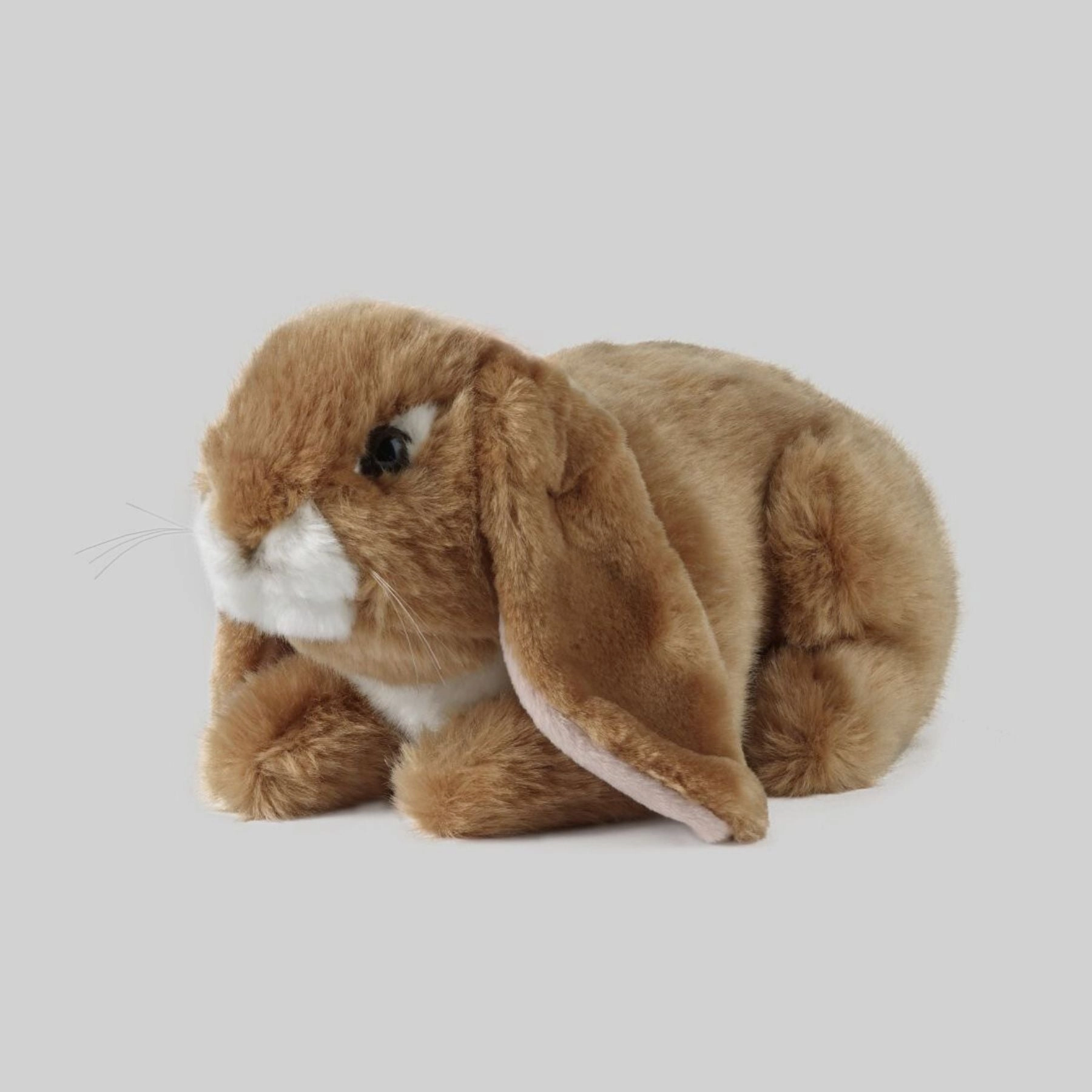 Living Nature Brown Lop Eared Rabbit