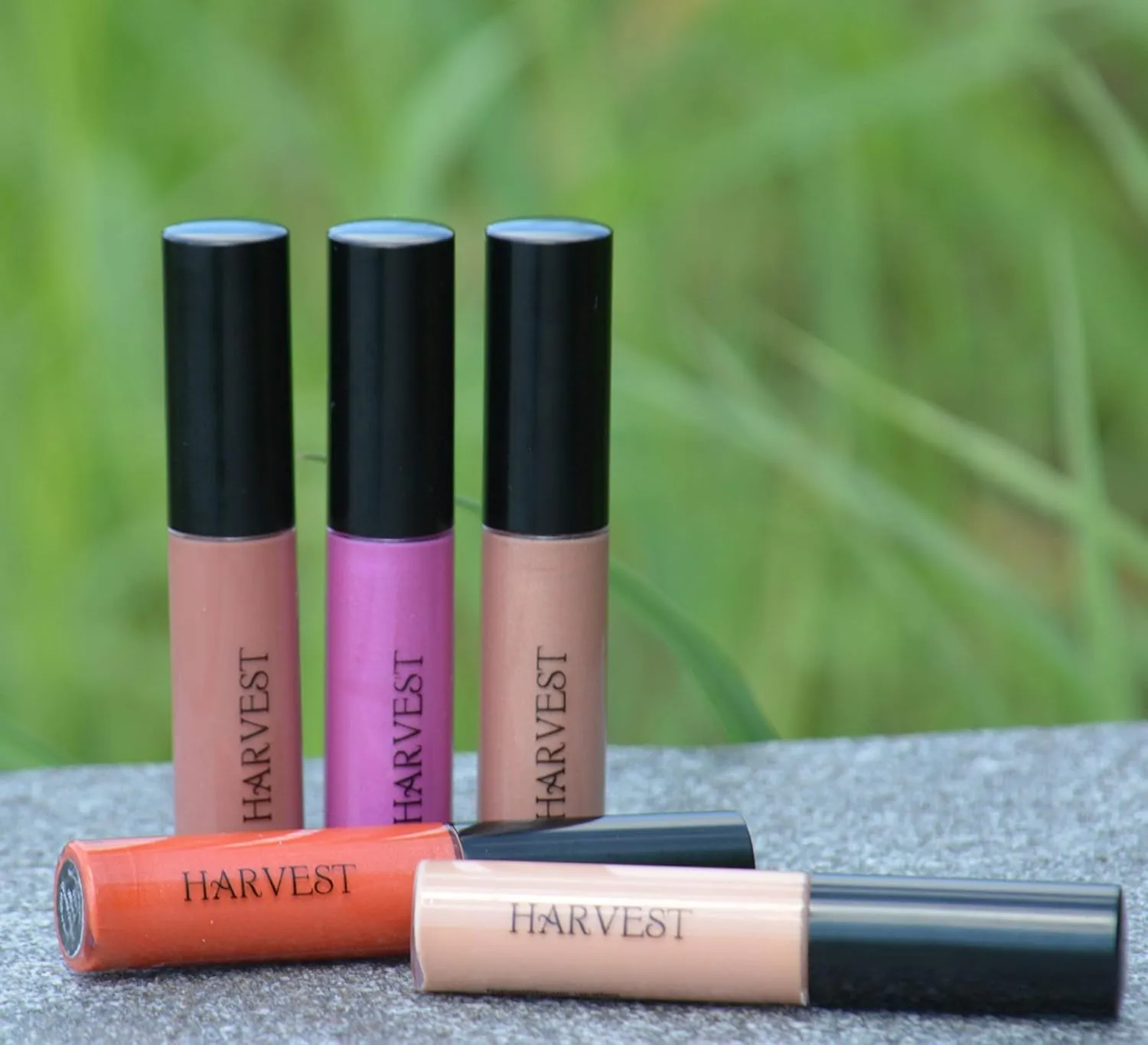 Luxurious Organic Lip Gloss - 100% Natural and Certified Organic - Non-Toxic, Vegan and Cruelty Free (Drama)