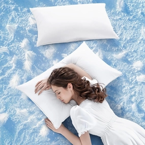 Luxury Canada Goose Down Pillow 900 Fill Power 100% Cotton Pillowcase 20"X30" Bed Pillows Well Balance of Softness and Firmness (Queen Pack of 2)