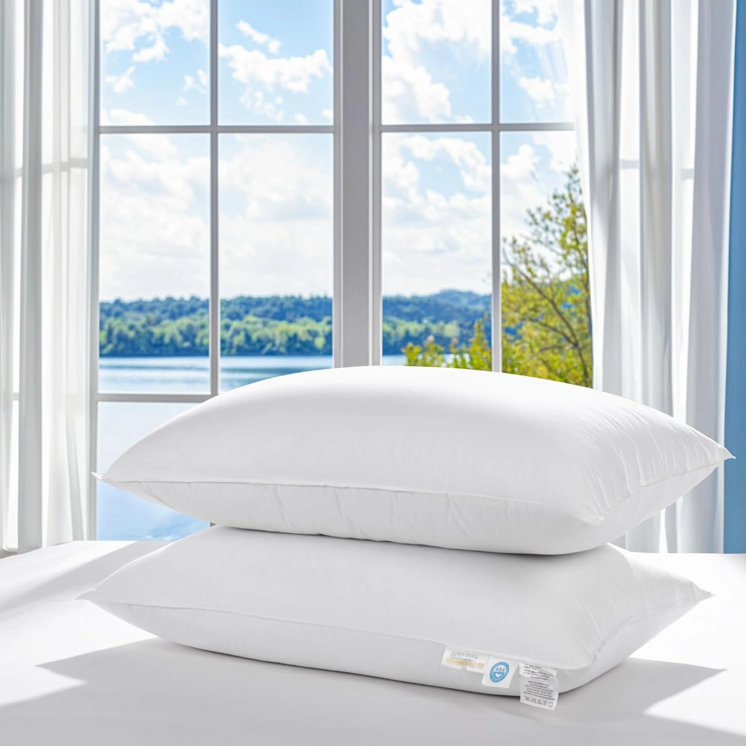 Luxury Canada Goose Down Pillow 900 Fill Power 100% Cotton Pillowcase 20"X30" Bed Pillows Well Balance of Softness and Firmness (Queen Pack of 2)