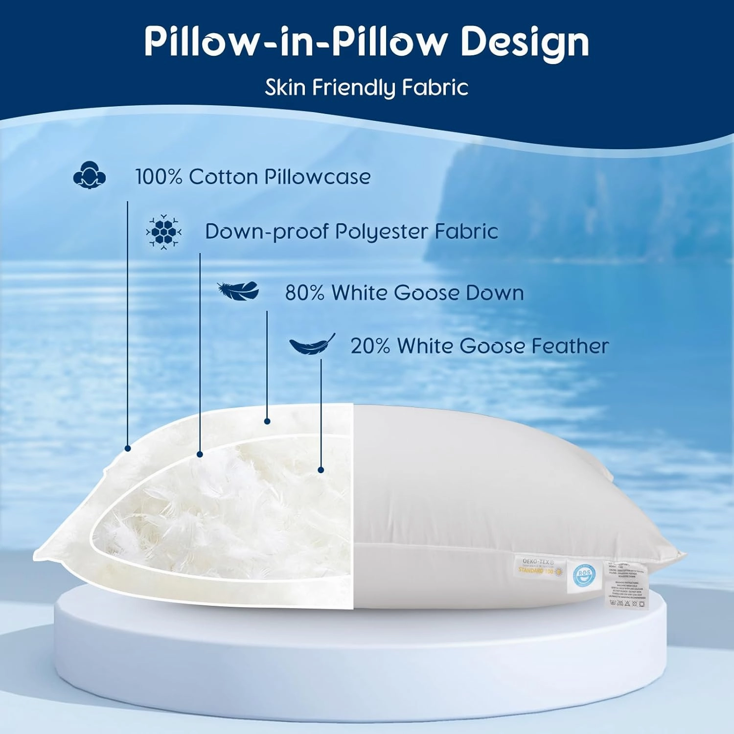 Luxury Canada Goose Down Pillow 900 Fill Power 100% Cotton Pillowcase 20"X30" Bed Pillows Well Balance of Softness and Firmness (Queen Pack of 2)