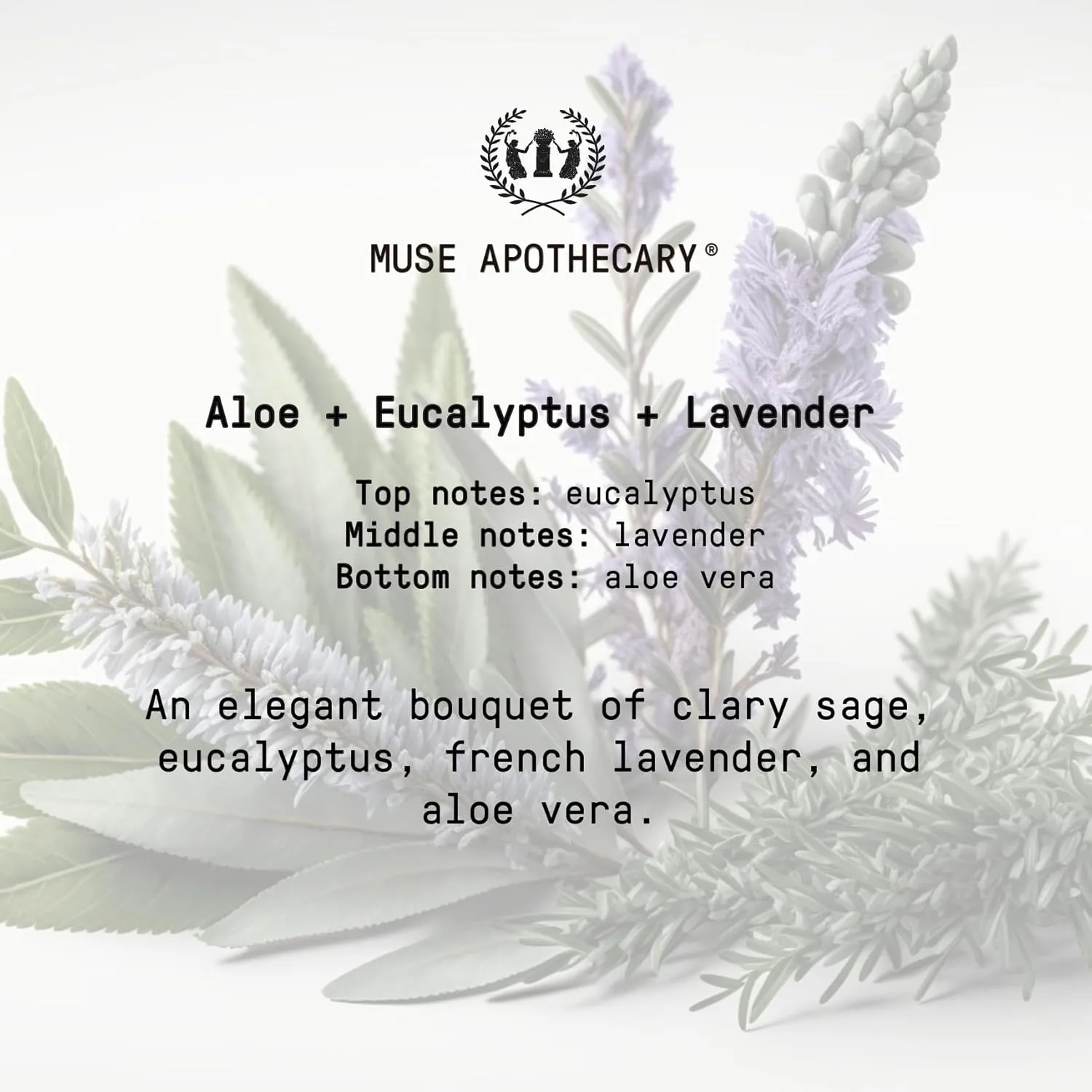 Muse Apothecary Hand Ritual - Aromatic and Nourishing Hand Soap, Infused with Natural Aromatherapy Essential Oils - USDA Certified Biobased - 16 oz, Aloe   Eucalyptus   Lavender, 3 Pack