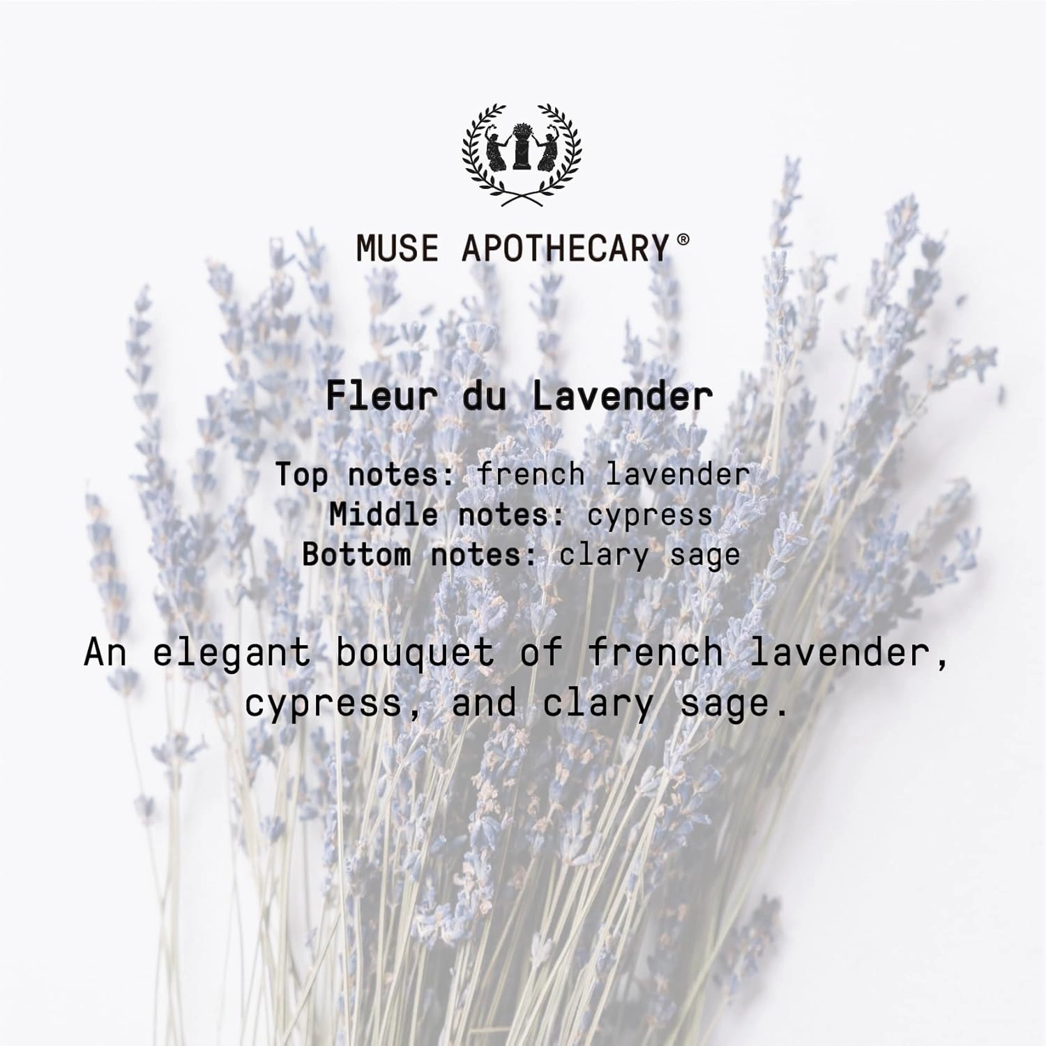 Muse Apothecary Hand Ritual - Aromatic and Nourishing Foaming Hand Soap, Infused with Natural Aromatherapy Essential Oils - USDA Certified Biobased - 11.5 oz, Fleur du Lavender, 3 Pack