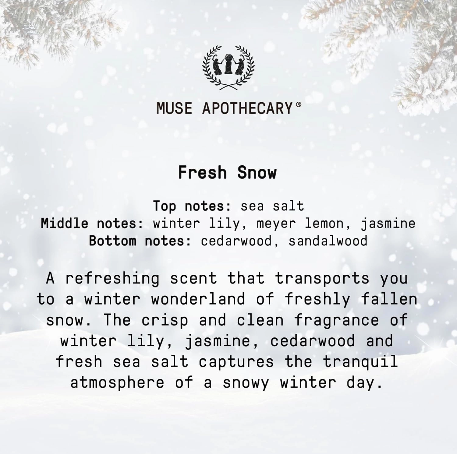 Muse Apothecary Hand Ritual - Aromatic and Nourishing Hand Soap, Infused with Natural Aromatherapy Essential Oils - 16 oz, Fresh Snow, 3 Pack