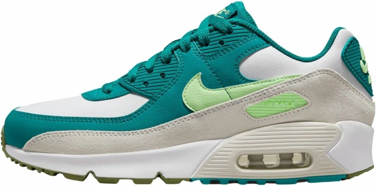 Nike Air Max 90 LTR (Big Kid)