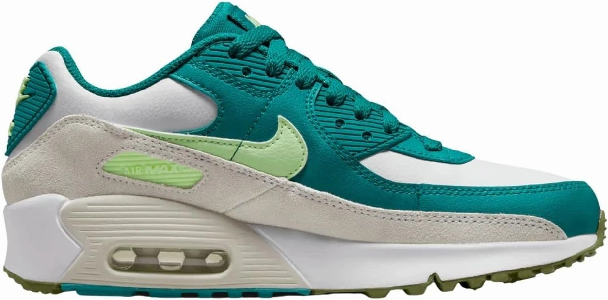 Nike Air Max 90 LTR (Big Kid)