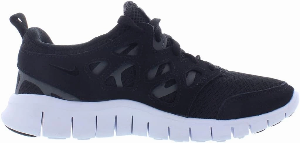Nike Boy's Free Run 2 (Little Kid)