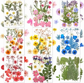 Nuanchu 167 Pcs Real Dried Pressed Flowers Natural Dried Flowers Colorful Daisy Mixed Wildflowers Leave for DIY Candle Resin Nails Jewelry Pendant Crafts Floral Art(Fresh Color)
