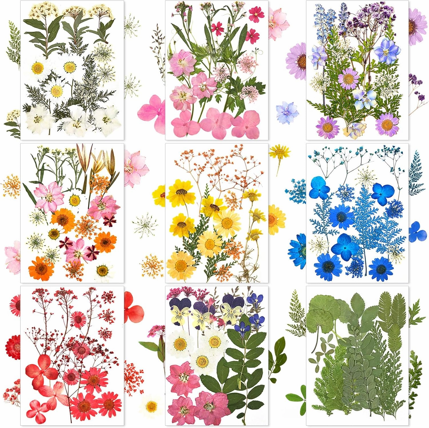 Nuanchu 167 Pcs Real Dried Pressed Flowers Natural Dried Flowers Colorful Daisy Mixed Wildflowers Leave for DIY Candle Resin Nails Jewelry Pendant Crafts Floral Art(Fresh Color)