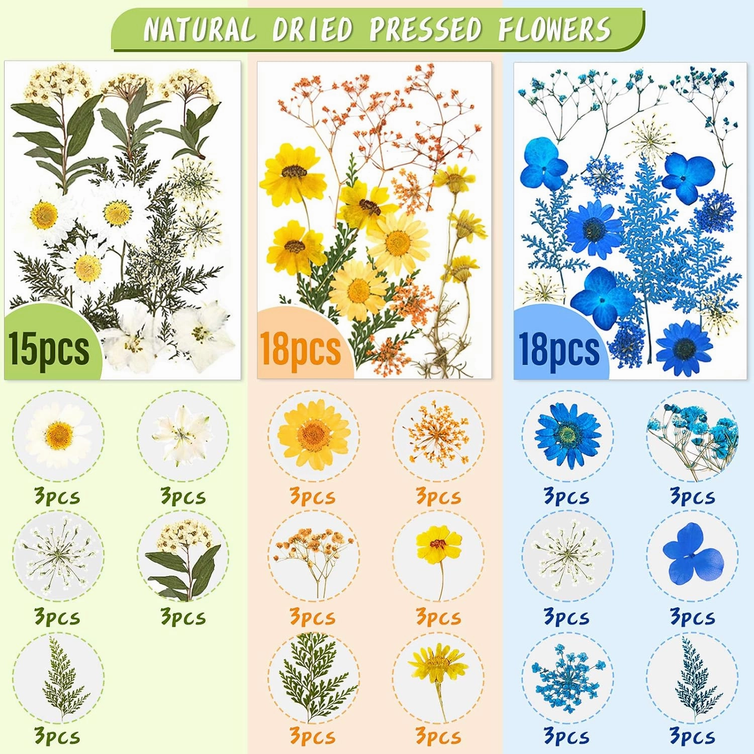 Nuanchu 167 Pcs Real Dried Pressed Flowers Natural Dried Flowers Colorful Daisy Mixed Wildflowers Leave for DIY Candle Resin Nails Jewelry Pendant Crafts Floral Art(Fresh Color)