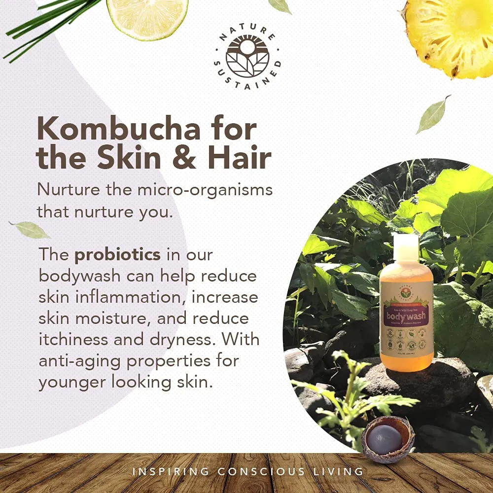 Organic Body Wash & Face Wash – Raw & Wildcrafted with Probiotics, Soapberry Formula for Eczema & Psoriasis - Wild Plants Selected for Sensitive & Dry Skin, 9oz, Original