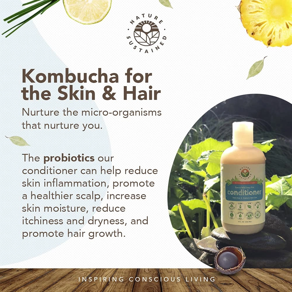 Organic Fragrance Free Conditioner - Gentle Unscented Natural Sensitive Skin Conditioner - Raw Wildcrafted Probiotic Hypoallergenic Hydrating Conditioning Wash for All Hair - 9 Oz