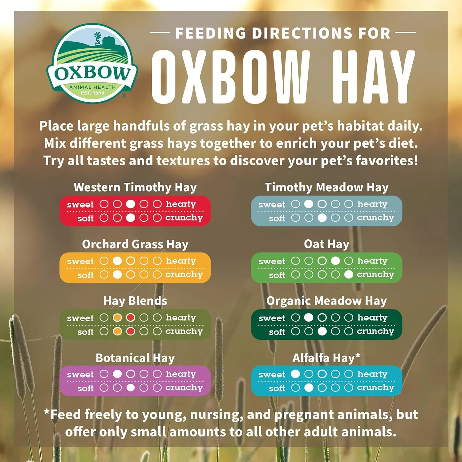 Oxbow Animal Health Alfalfa, Guinea Pig Hay, Rabbit Hay, Small Pet Bunny Supplies, All Natural Grass for Guinea Pig, Bunny, Chinchilla & Hamster, Oxbow Rabbit Supplies, Grown in USA, 9 lb box