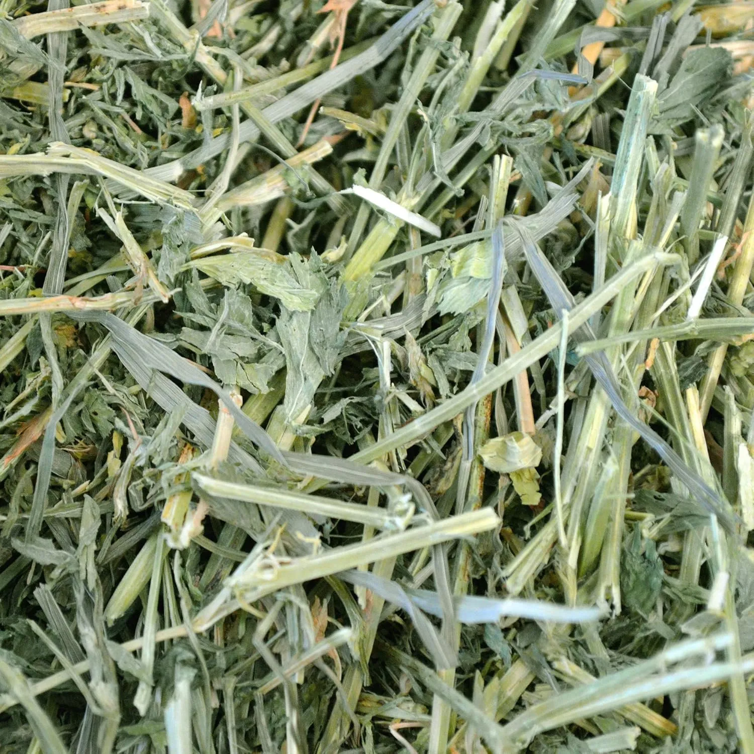 Oxbow Animal Health Alfalfa, Guinea Pig Hay, Rabbit Hay, Small Pet Bunny Supplies, All Natural Grass for Guinea Pig, Bunny, Chinchilla & Hamster, Oxbow Rabbit Supplies, Grown in USA, 9 lb box