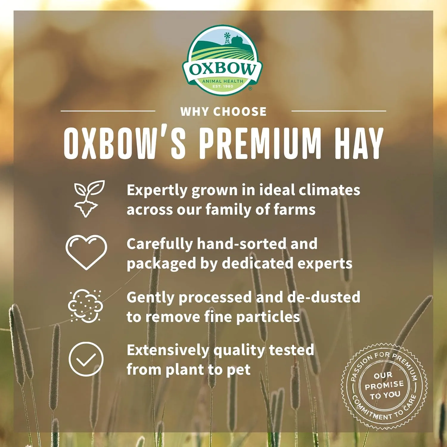 Oxbow Animal Health Alfalfa, Guinea Pig Hay, Rabbit Hay, Small Pet Bunny Supplies, All Natural Grass for Guinea Pig, Bunny, Chinchilla & Hamster, Oxbow Rabbit Supplies, Grown in USA, 9 lb box