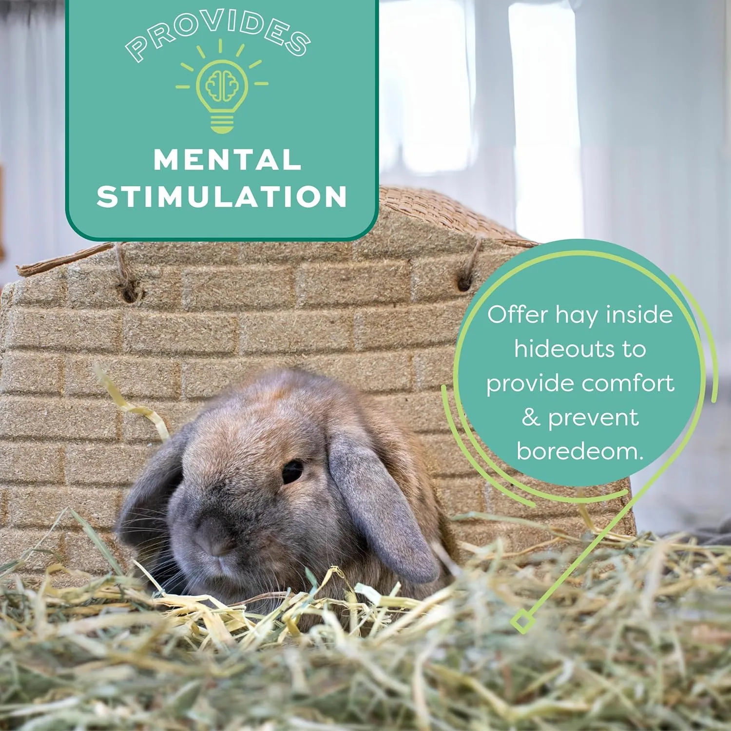 Oxbow Animal Health Western Timothy Hay, Guinea Pig Hay, Small Pet Bunny Supplies, All Natural Grass for Guinea Pig, Bunny, Chinchilla & Hamster, Oxbow Rabbit Supplies for Bunnies, 9 lb box