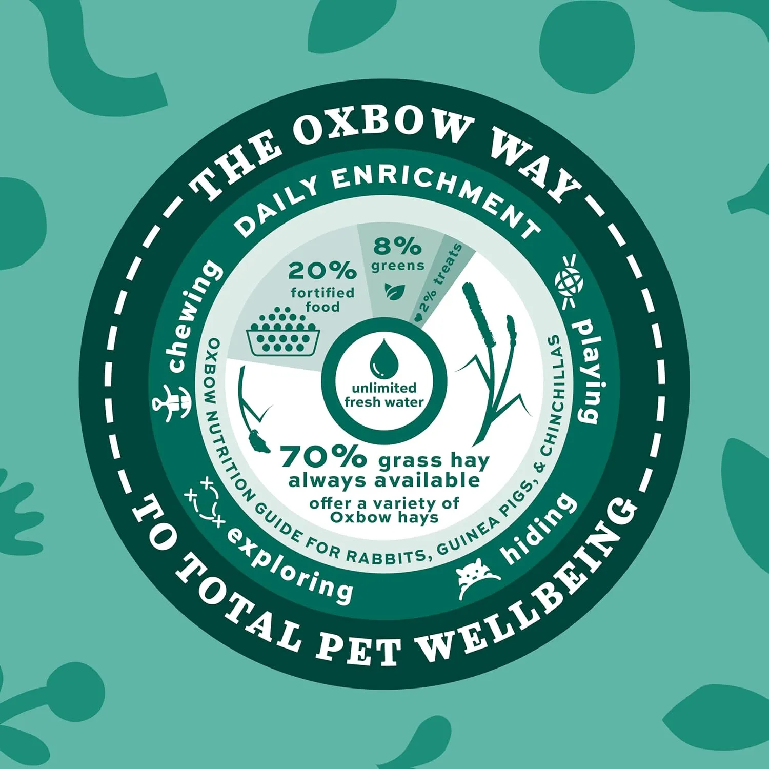 Oxbow Animal Health Western Timothy Hay, Guinea Pig Hay, Small Pet Bunny Supplies, All Natural Grass for Guinea Pig, Bunny, Chinchilla & Hamster, Oxbow Rabbit Supplies for Bunnies, 9 lb box