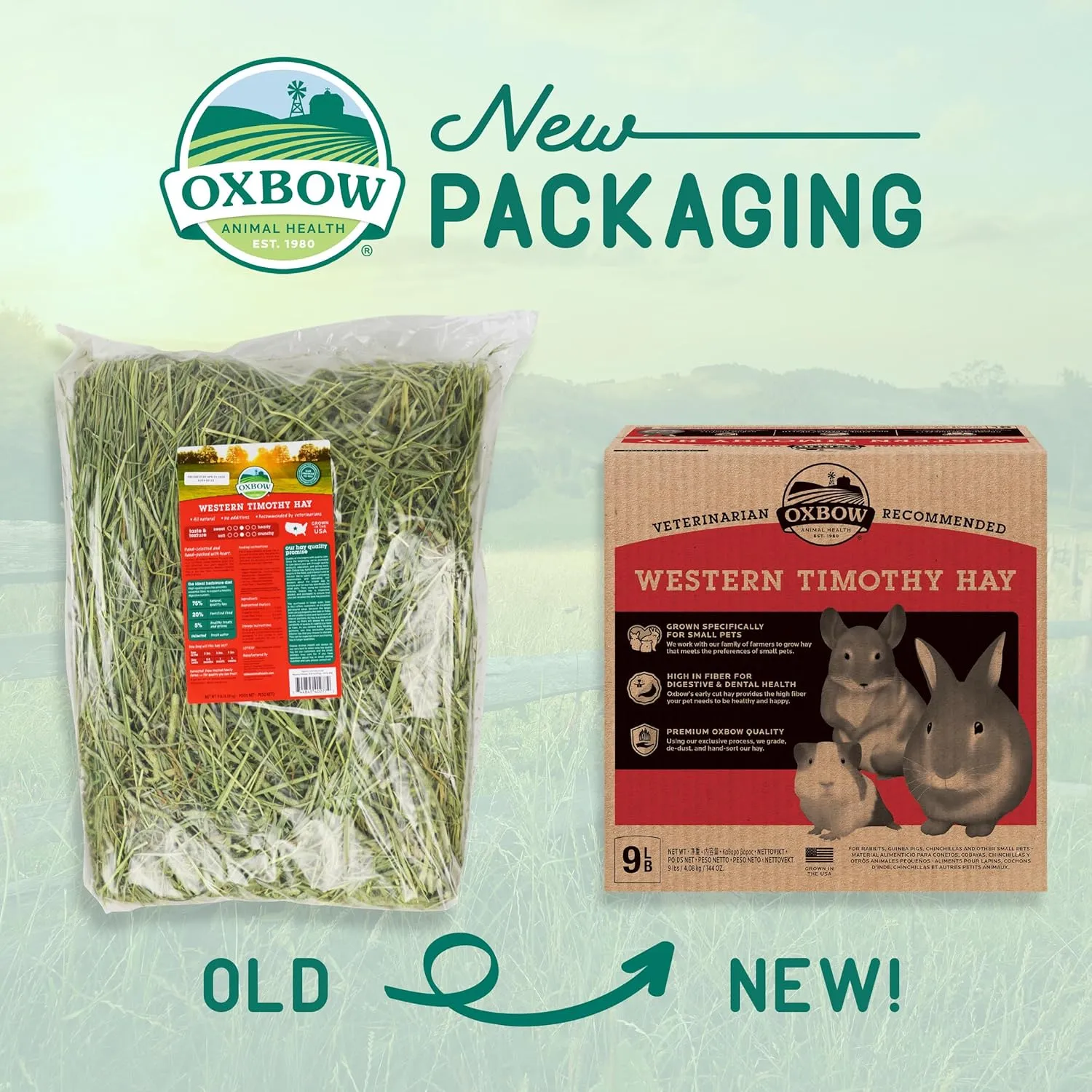 Oxbow Animal Health Western Timothy Hay, Guinea Pig Hay, Small Pet Bunny Supplies, All Natural Grass for Guinea Pig, Bunny, Chinchilla & Hamster, Oxbow Rabbit Supplies for Bunnies, 9 lb box