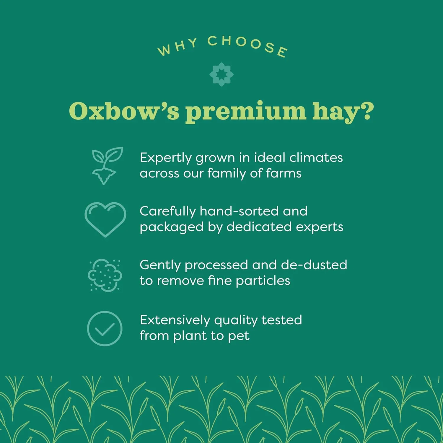 Oxbow Animal Health Western Timothy Hay, Guinea Pig Hay, Small Pet Bunny Supplies, All Natural Grass for Guinea Pig, Bunny, Chinchilla & Hamster, Oxbow Rabbit Supplies for Bunnies, 9 lb box
