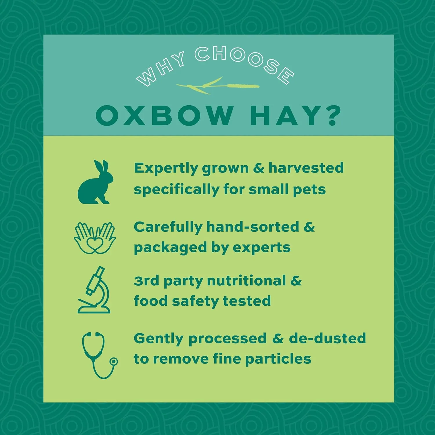 Oxbow Animal Health Western Timothy Hay, Guinea Pig Hay, Small Pet Bunny Supplies, All Natural Grass for Guinea Pig, Bunny, Chinchilla & Hamster, Oxbow Rabbit Supplies for Bunnies, 9 lb box