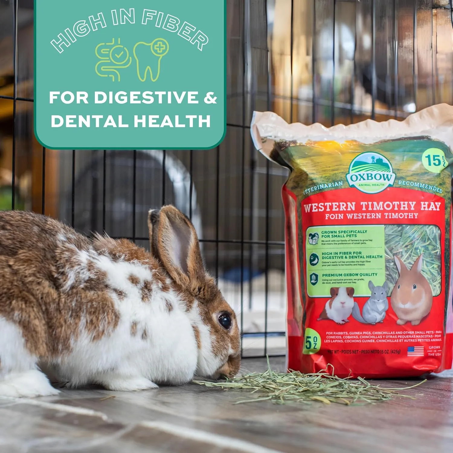 Oxbow Animal Health Western Timothy Hay, Guinea Pig Hay, Small Pet Bunny Supplies, All Natural Grass for Guinea Pig, Bunny, Chinchilla & Hamster, Oxbow Rabbit Supplies for Bunnies, 9 lb box