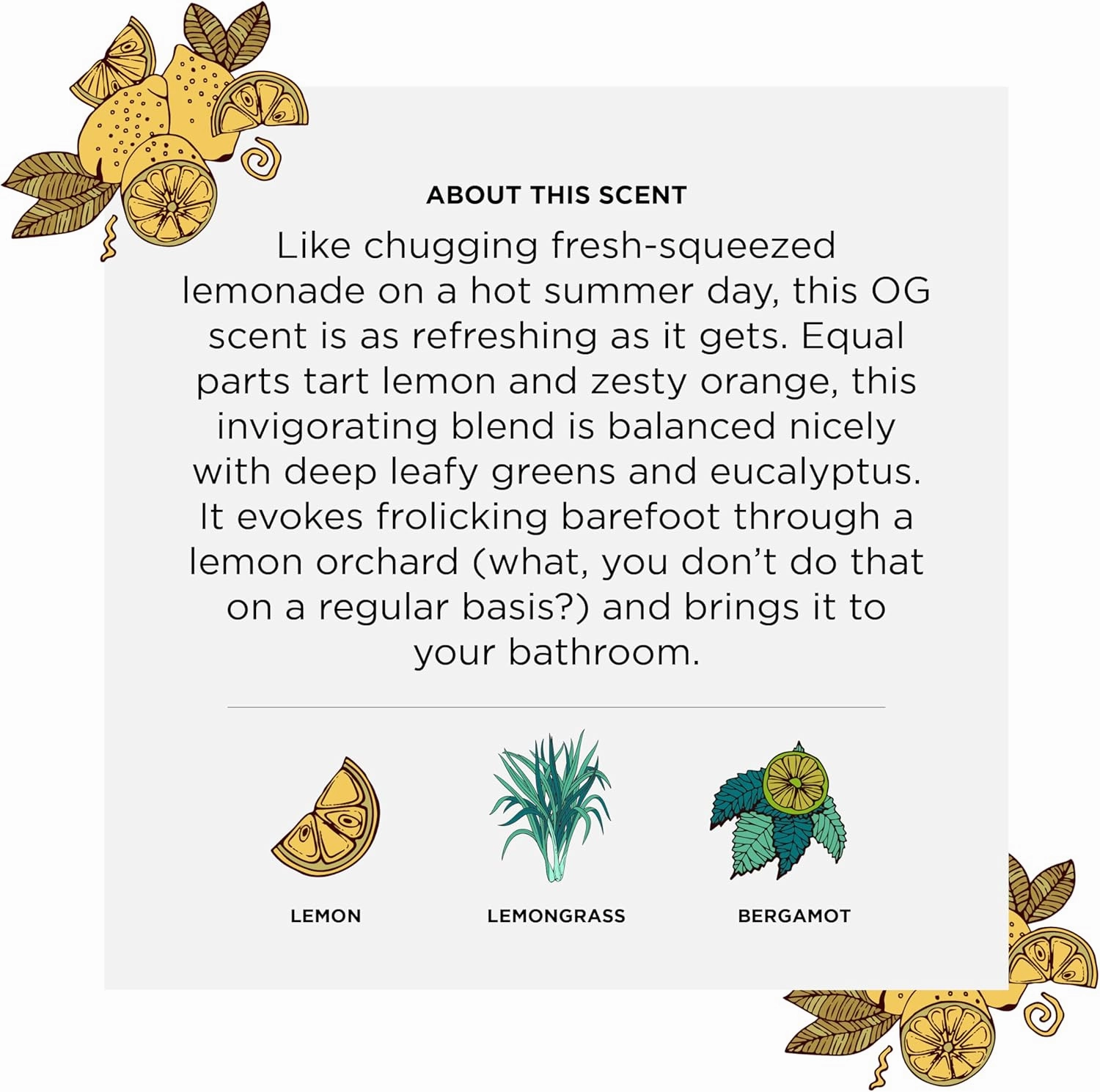 Poo-Pourri Before-You-Go Toilet Spray, Original Citrus, Refill Bottle 16 Fl Oz - Lemon, Bergamot and Lemongrass